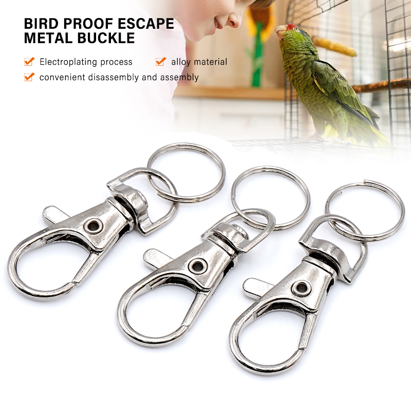 10/20pcs Argento Metallo Arago - Lobster Clasp Silver recensione e prezzo